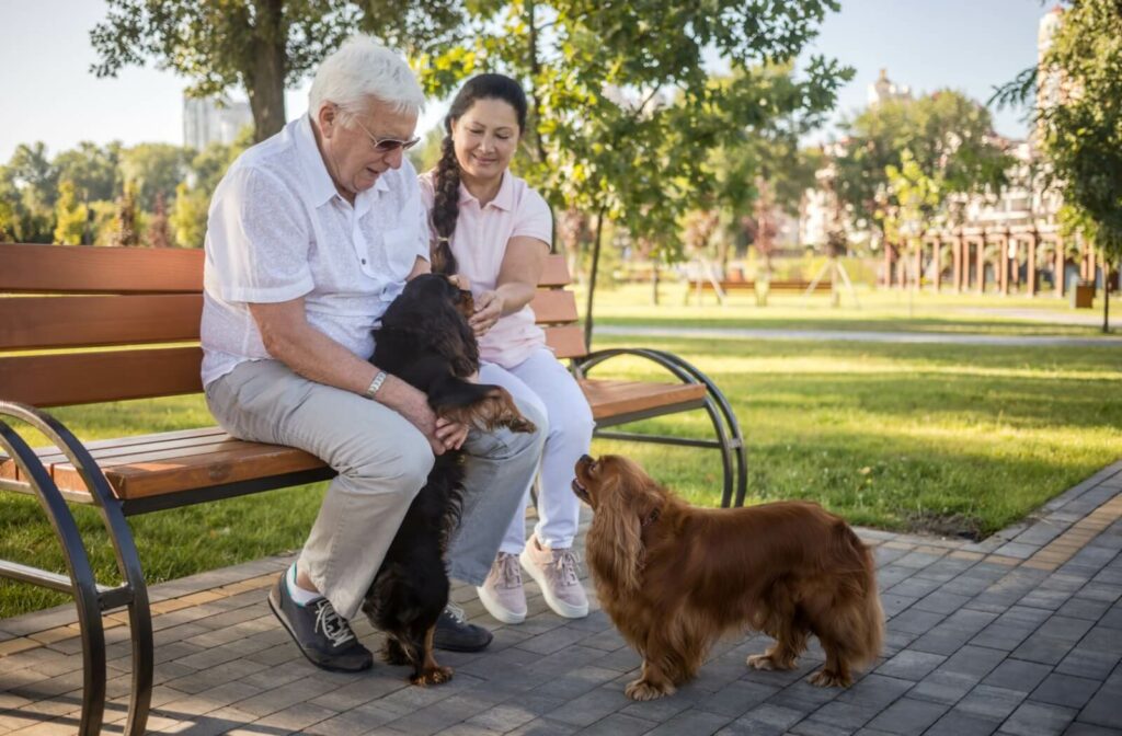 An older adult couple interacts with their pet dogs in the assisted living garden.